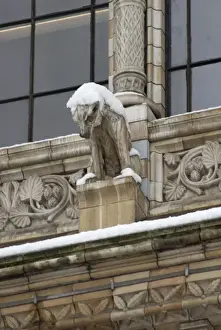 Stampe di Uno dei molti gargoyle che adornano l'esterno del Museo di Storia Naturale, Londra Alfred Waterhouse Stampe: Gargoyle