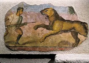 Historical Roman Artwork Stampe: Gladiator fighting against a beast