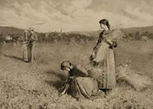 Rural Life Stampe: The gleaners