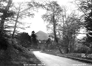 Early 20th Century Irish Art Stampe: Glen of the Downs