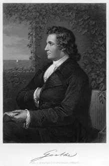 Johann Wolfgang Von Goethe Stampe: GOETHE