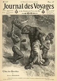 Congo Wildlife Stampe: Gorilla on the Attack