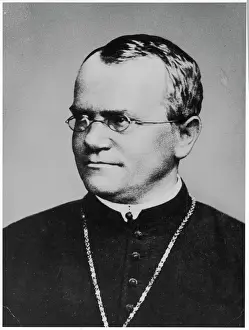 Austria Stampe: Gregorio Mendel