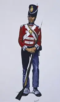 Coldstream Guards Stampe: Guardsman (Private) - The Coldstream Guards