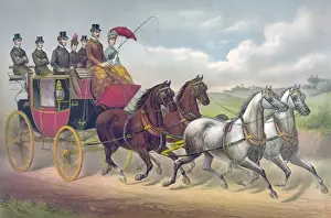 Horse Drawn Carriages History Stampe: Four in hand
