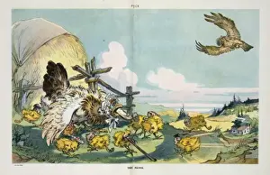Early 20th Century Cartoons Online Stampe: The hawk