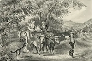 Vintage Farm Life Stampe: Haying-time the last load