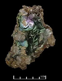 Natural History Museum Specimens Stampe: Hematite