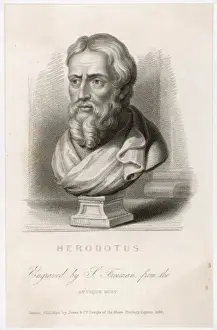 Greek Classical Art Stampe: Herodotus / Freeman / Bust