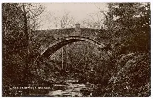 Stone Bridge Architecture Stampe: Hexham Bridge