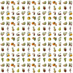 La Storia Si Ripete Stampe: Modello Ripetuto - Frutta Variata