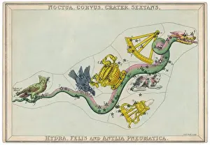 Stampe di Costellazione di Hydra, che comprende un uccello falco e una corvo e uno strumento da navigazione Gufo Stampe: Carta stellare Hydra