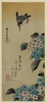Japanese Woodblock Prints Stampe: Hydrangea and Kingfisher