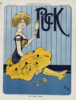 Puck Magazine Art Stampe: Am I about right?