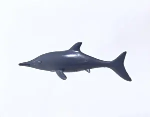 Prehistoric Marine Reptile Stampe: Ichthyosaur