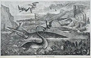 Ichthyosaurus, Pterodactilo, Plesiosaurio