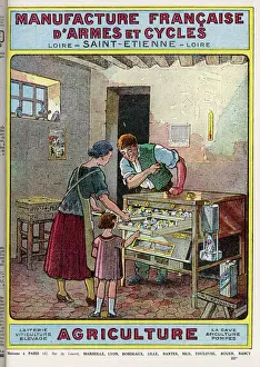 Rural Family Scene Stampe: Incubating Chicks