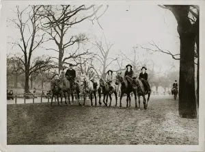 Traditional Equestrian Attire Stampe: (insert)