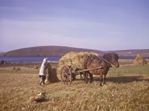 Rolling Hills Landscape Photo Stampe: (insert)