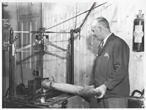 Elefante Africano Stampe: Atelier dell'avorio