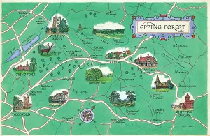 Opere D'arte Originali Della Più Antica Casa Editrice Di Cartoline E Calendari Della Gran Bretagna Stampe: Carta - Faggio di Epping