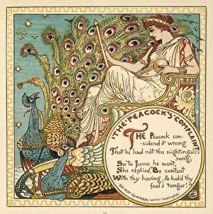 Stampe di Il pavone (Pavo cristatus) si lamenta con Giunone che non può cantare come il grillagiole; le dice di essere soddisfatto di quello che ha Roma Stampe: Giove e l'Avvoltoce