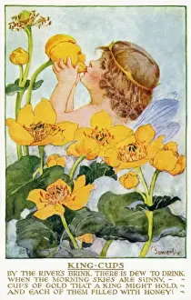 Postcard Collection For Kids Stampe: King cups