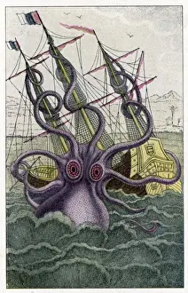 Il Kraken attacca una nave.