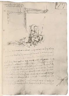 Leonardo Da Vinci Stampe: Macchina Volo di Leonardo