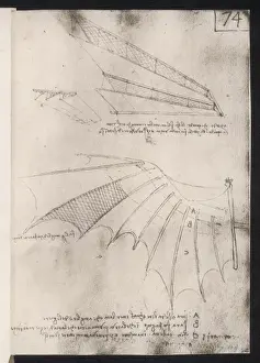 Leonardo Da Vinci Stampe: Ali di Leonardo
