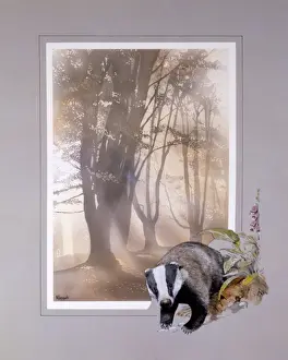 Malcolm Greensmith Artist Stampe: Light through the trees with Badger border