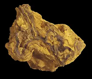 Sedimentary Rock Formation Stampe: Limonite