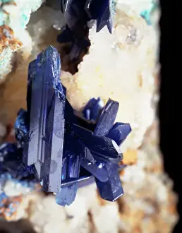 Natural History Museum Specimens Stampe: Linarite