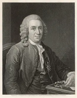 Swedish Naturalist Stampe: Linnaeus / Pasch