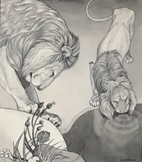 Raymond Sheppard Art Stampe: Lions drinking from a still pool