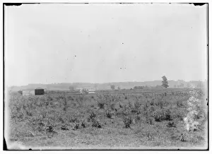 Wright Brothers Flight Stampe: Long-range view of machine on launching track, showing hanga