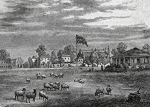 Lords Cricket Ground Stampe: I Signori del Terreno nel 1837