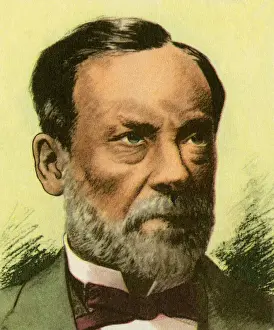 French Chemist Stampe: Louis Pasteur