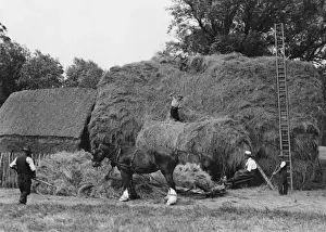 Britain Farming History Stampe: Making a Large Haystack