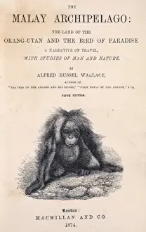 Alfred Russel Wallace Stampe: The Malay Archipelago