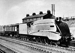 LNER Locomotive Stampe: The Mallard