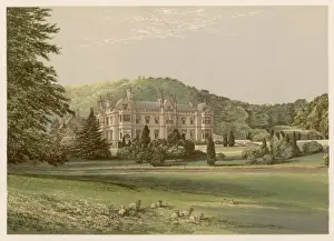 South West England Views Stampe: Mamhead, Devon