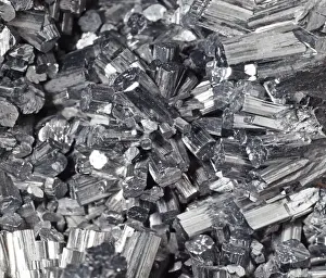 Natural History Museum Specimens Stampe: Manganite
