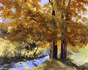Malcolm Greensmith Painting Stampe: Maple Fall