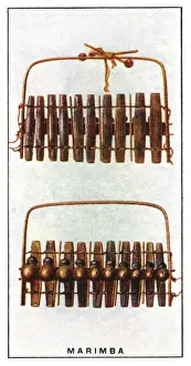 Stampe di Il Zulu Harmonicon (mostrato in vista anteriore e posteriore) è anche noto come la Marimba. Ogni uno dei dieci barre di legno ha una guscio attaccato, che agisce da risonatore Marimba Stampe: Marimba