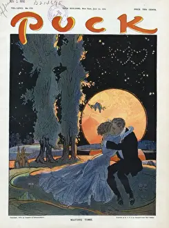 Puck Magazine Artwork Stampe: Mating time
