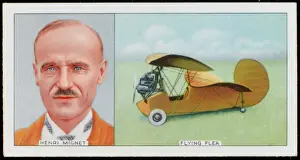 Vintage Airplane Designs Stampe: Mignet & Flying Flea