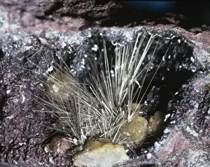 Natural History Museum Specimens Stampe: Millerite