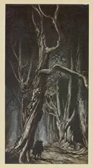 Classic Literature Illustration Stampe: Miltons Comus / Rackham