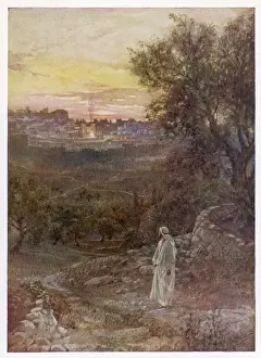 Monte degli Olive